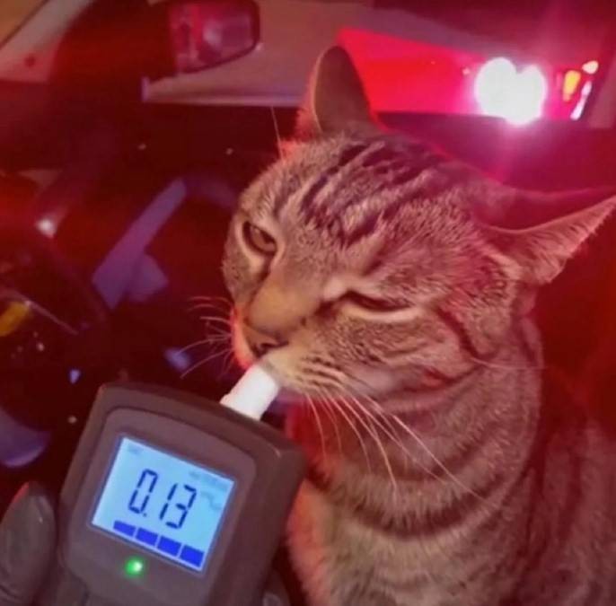 轻松一刻第1605期 舞蹈培训班只能中午去学