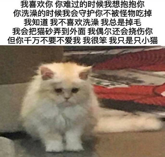 3DM����һ�̵�1605�� �赸��ѵ��ֻ������ȥѧ