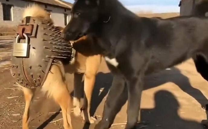 3DM����һ�̵�1605�� �赸��ѵ��ֻ������ȥѧ