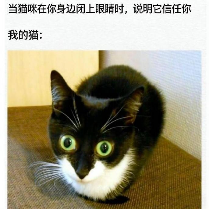 3DM����һ�̵�1606�� ���ʹ�Ӳ������״��Ӧ����