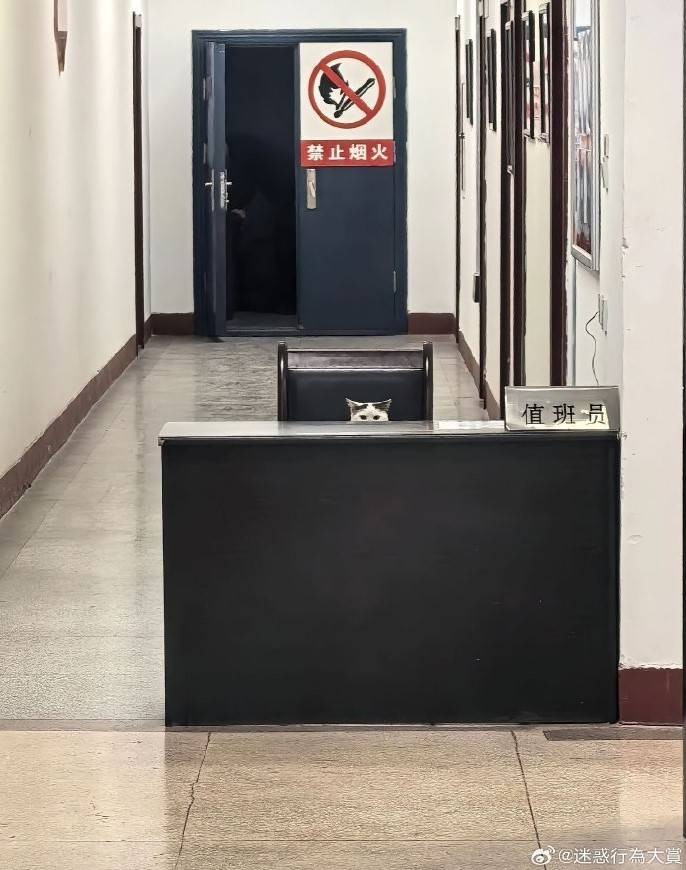 3DM����һ�̵�1606�� ���ʹ�Ӳ������״��Ӧ����