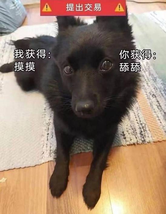 3DM����һ�̵�1606�� ���ʹ�Ӳ������״��Ӧ����