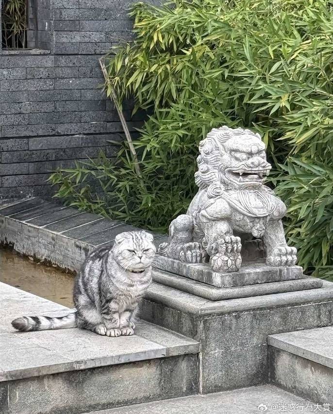 3DM����һ�̵�1607�� �����������˲�һ���ǽ���