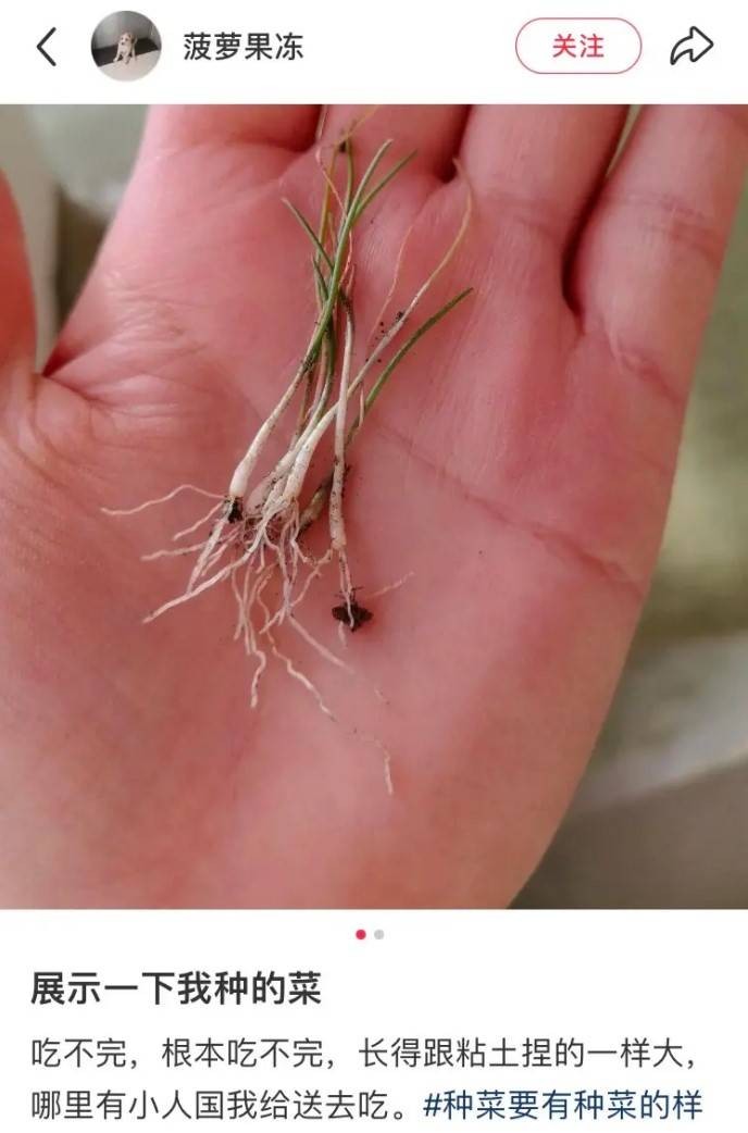 3DM����һ�̵�1607�� �����������˲�һ���ǽ���