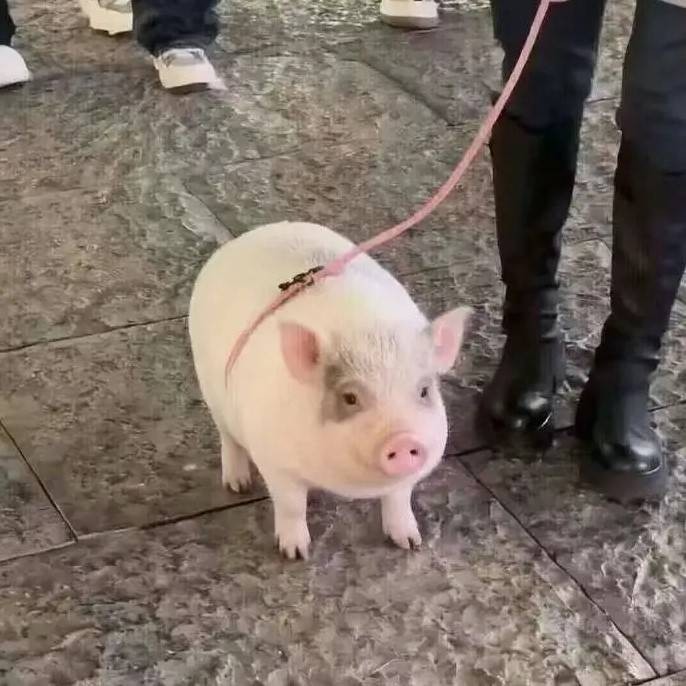 3DM����һ�̵�1607�� �����������˲�һ���ǽ���