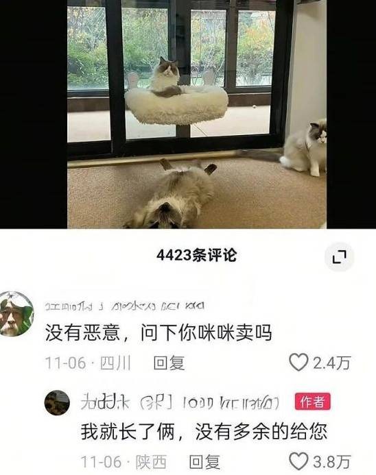 3DM����һ�̵�1607�� �����������˲�һ���ǽ���