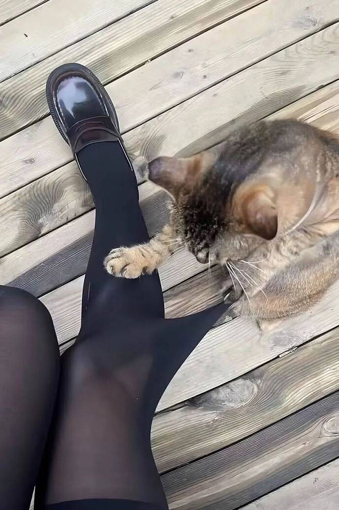 3DM����һ�̵�1608�� ������Ů���ѵ����������