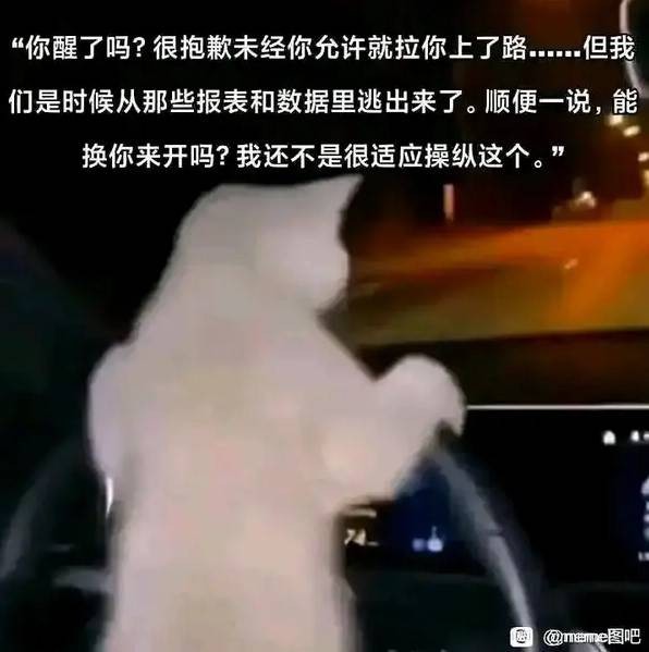 轻松一刻第1608期 这是你女朋友当伴娘的样子