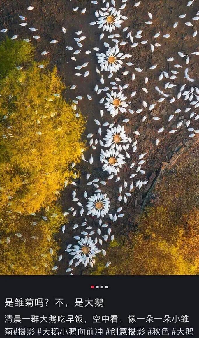 轻松一刻第1608期 这是你女朋友当伴娘的样子