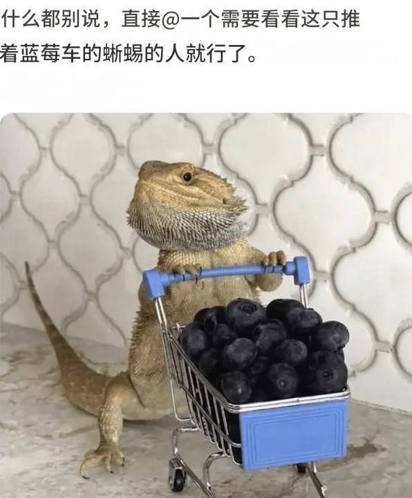 3DM����һ�̵�1608�� ������Ů���ѵ����������