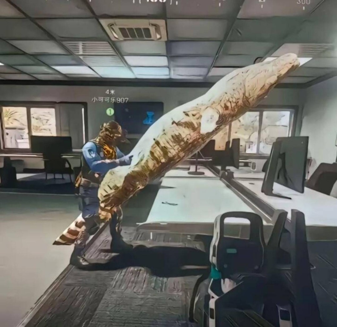 ���帣����ͼ�Ʒ�ϵ�� ���ò�˵��Ӱʦ̫��������