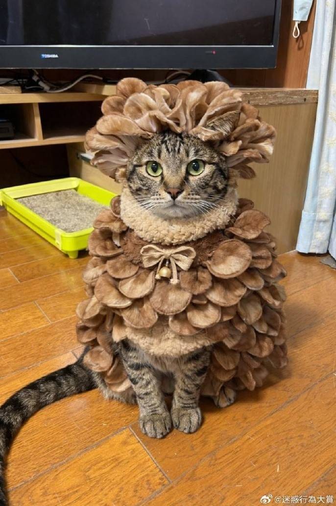 3DM����һ�̵�1609�� �������Ӱ������ȥ�أ�