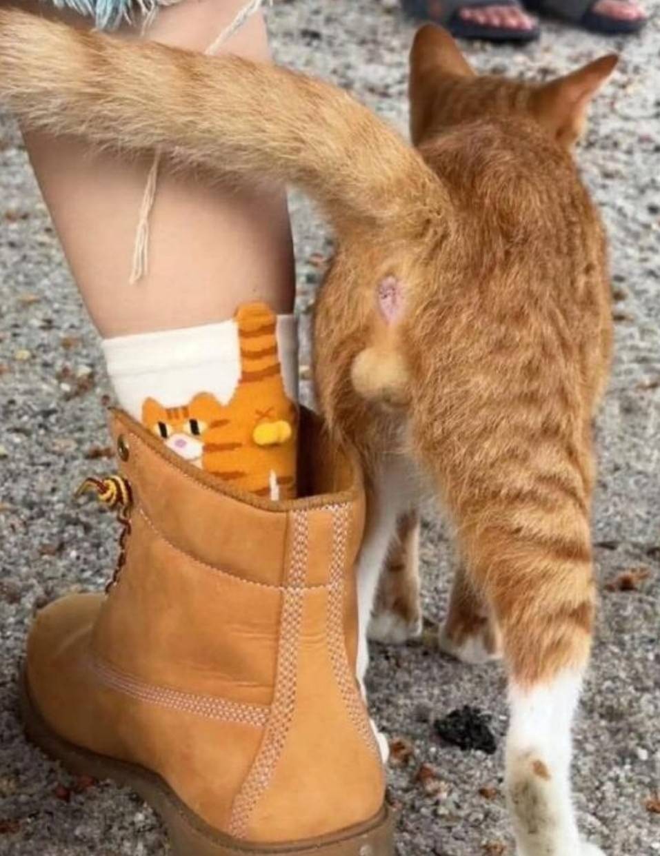 周一内涵囧图云飞系列 妹妹两眼聚焦战术名不虚传