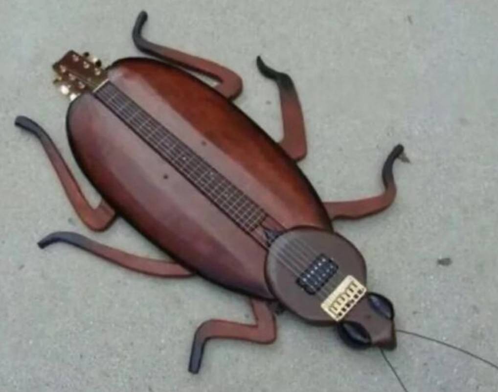 周一内涵囧图云飞系列 妹妹两眼聚焦战术名不虚传