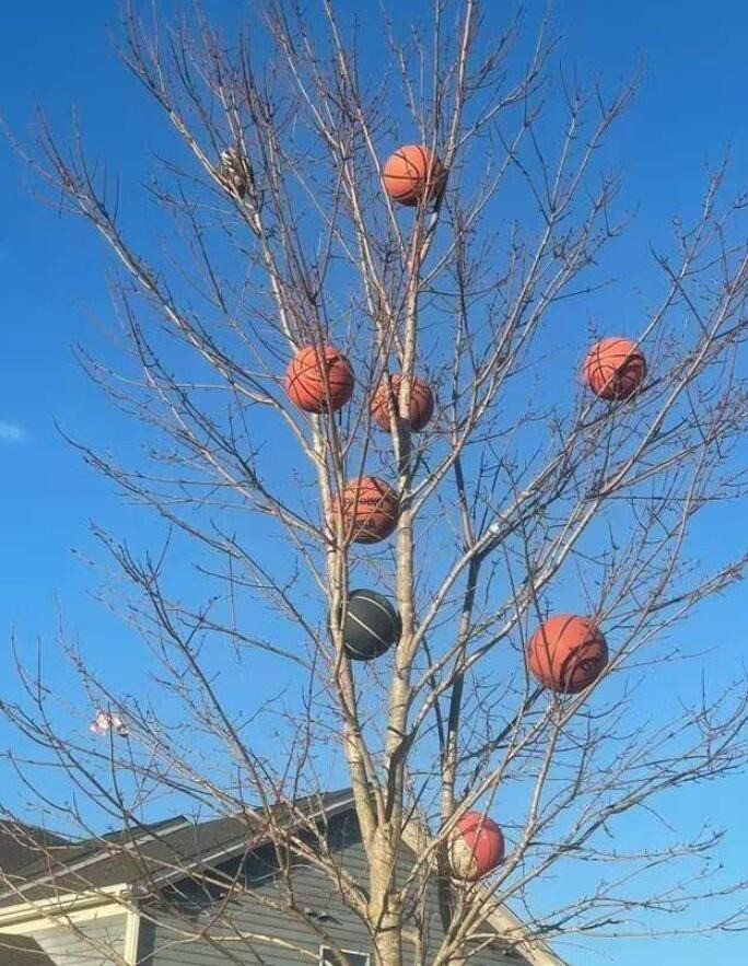 轻松一刻第1610期 美女来郊游真是美美哒！