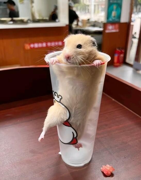 轻松一刻第1610期 美女来郊游真是美美哒！