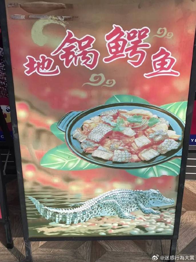 轻松一刻第1611期 这奇怪姿势到底在锻炼什么