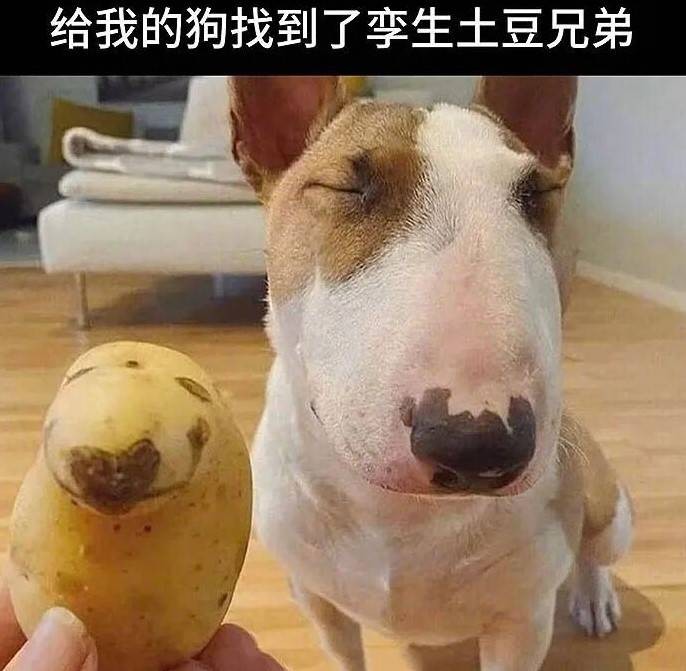 3DM����һ�̵�1611�� ��������Ƶ����ڶ���ʲô