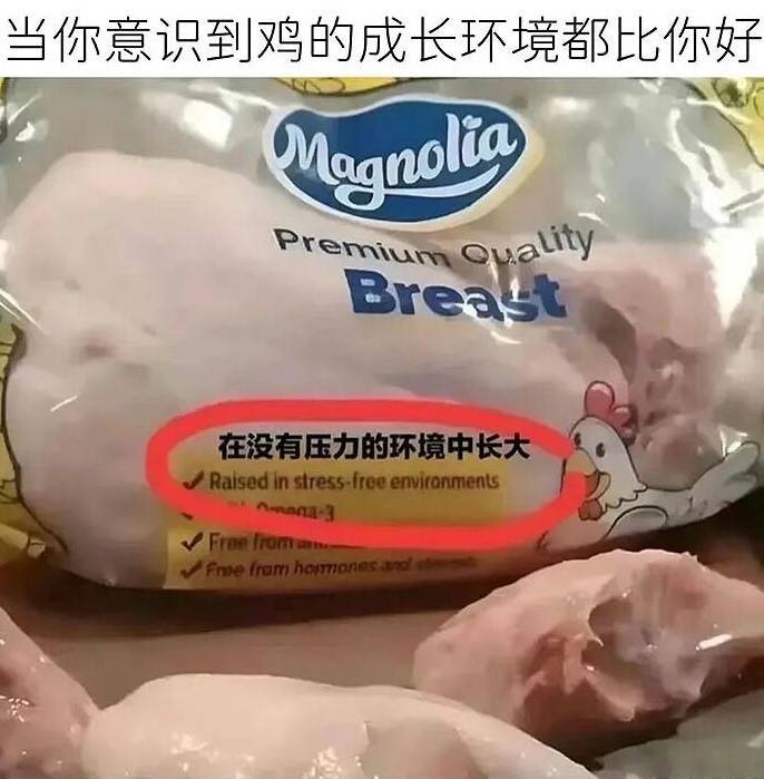 3DM����һ�̵�1611�� ��������Ƶ����ڶ���ʲô