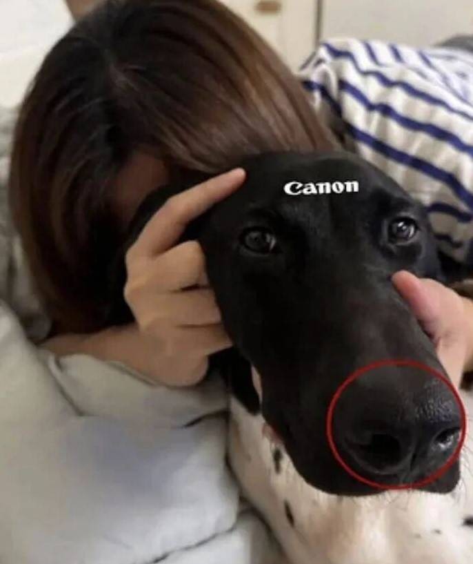 3DM����һ�̵�1611�� ��������Ƶ����ڶ���ʲô