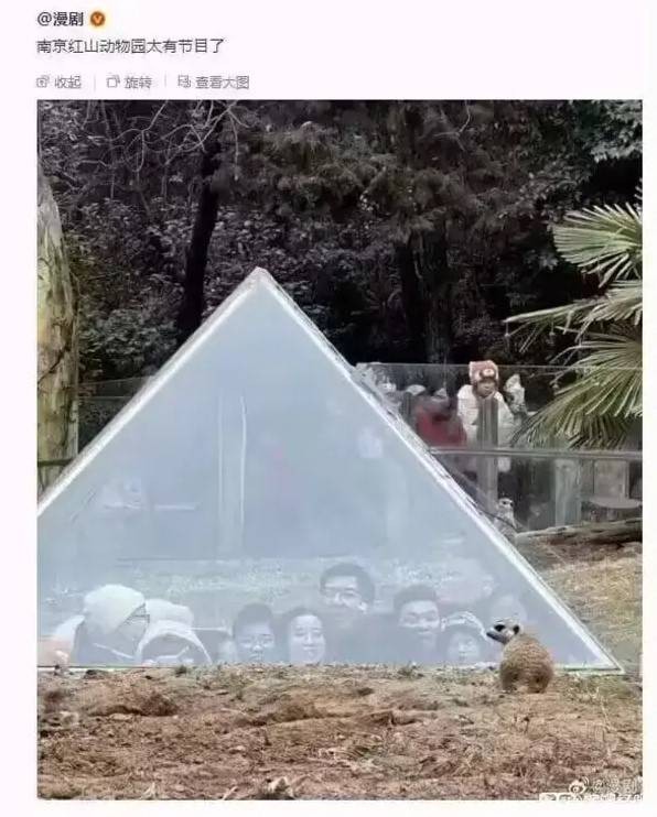 3DM����һ�̵�1611�� ��������Ƶ����ڶ���ʲô