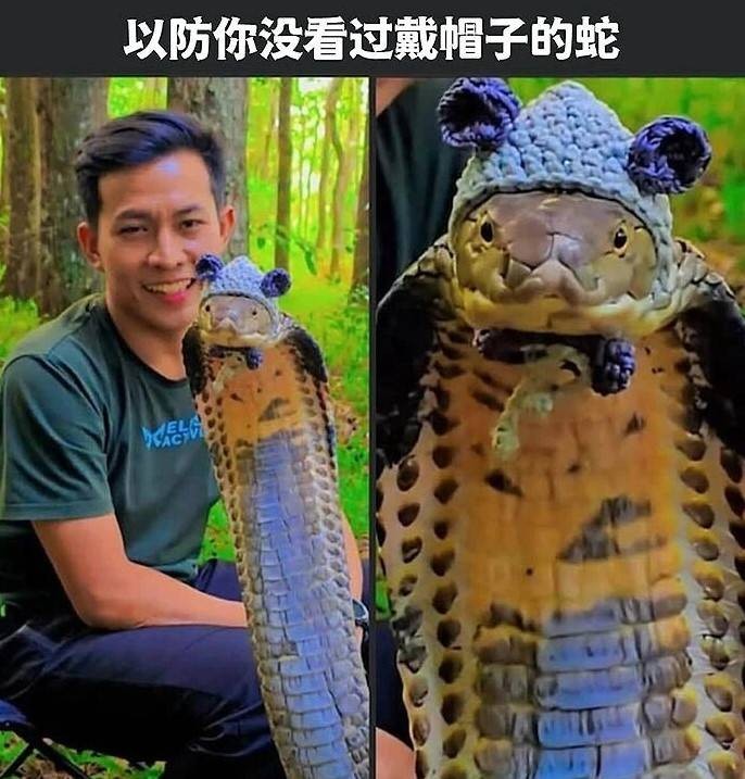 3DM����һ�̵�1613�� ����Ů���ֱ���Ҫע��ʲô