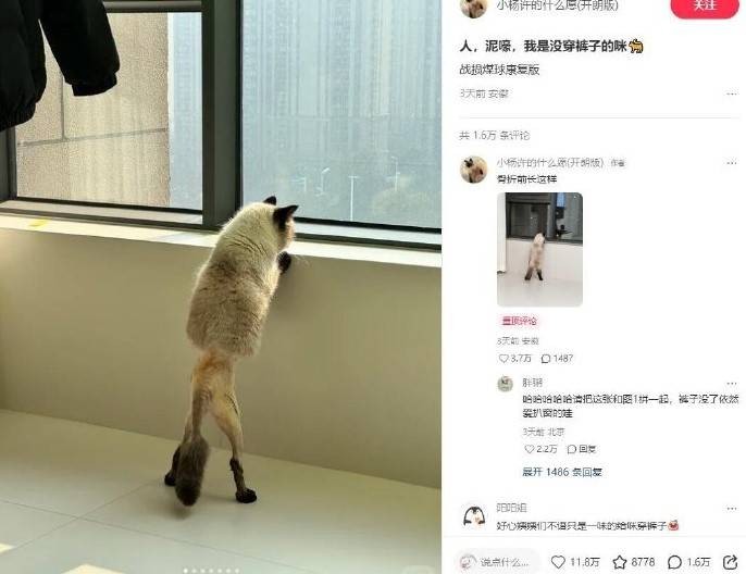 3DM����һ�̵�1613�� ����Ů���ֱ���Ҫע��ʲô