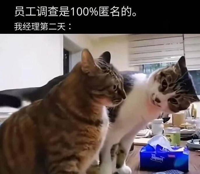 3DM����һ�̵�1613�� ����Ů���ֱ���Ҫע��ʲô