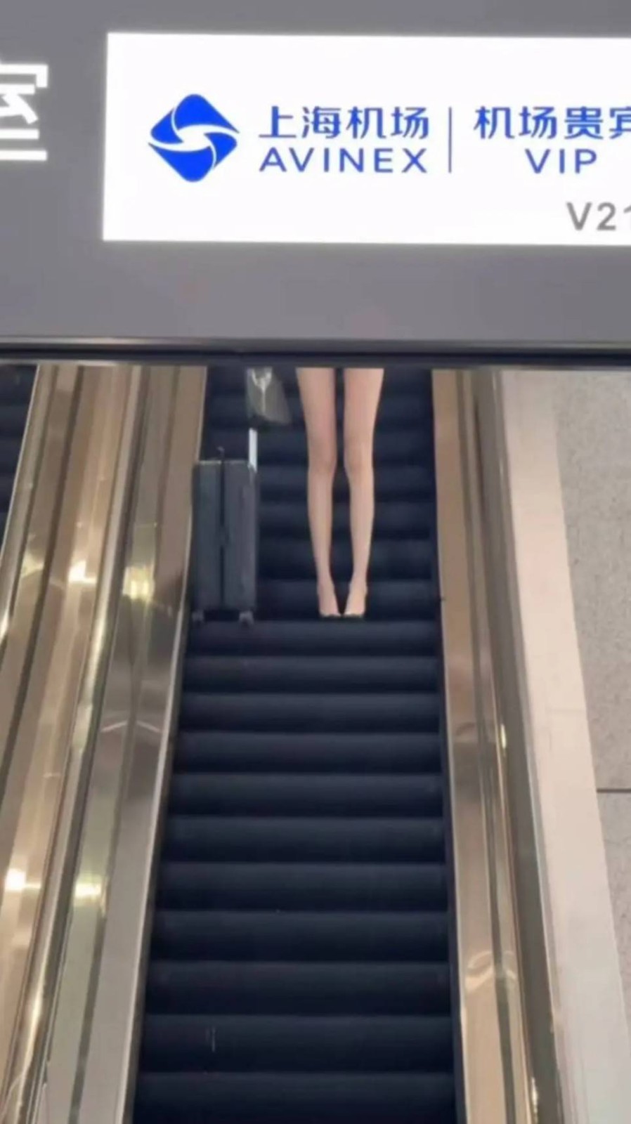 ��һ�ں���ͼ�Ʒ�ϵ�� �����л��赸������ɶ����