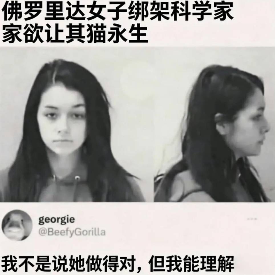 ��һ�ں���ͼ�Ʒ�ϵ�� �����л��赸������ɶ����