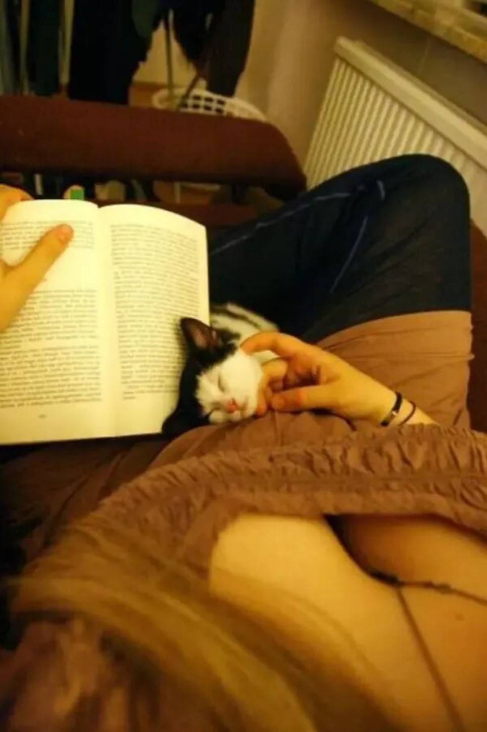 ��һ�ں���ͼ�Ʒ�ϵ�� �����л��赸������ɶ����