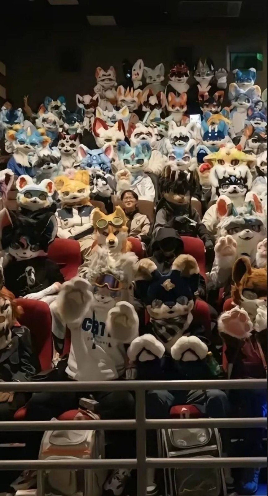 ��һ�ں���ͼ�Ʒ�ϵ�� �����л��赸������ɶ����