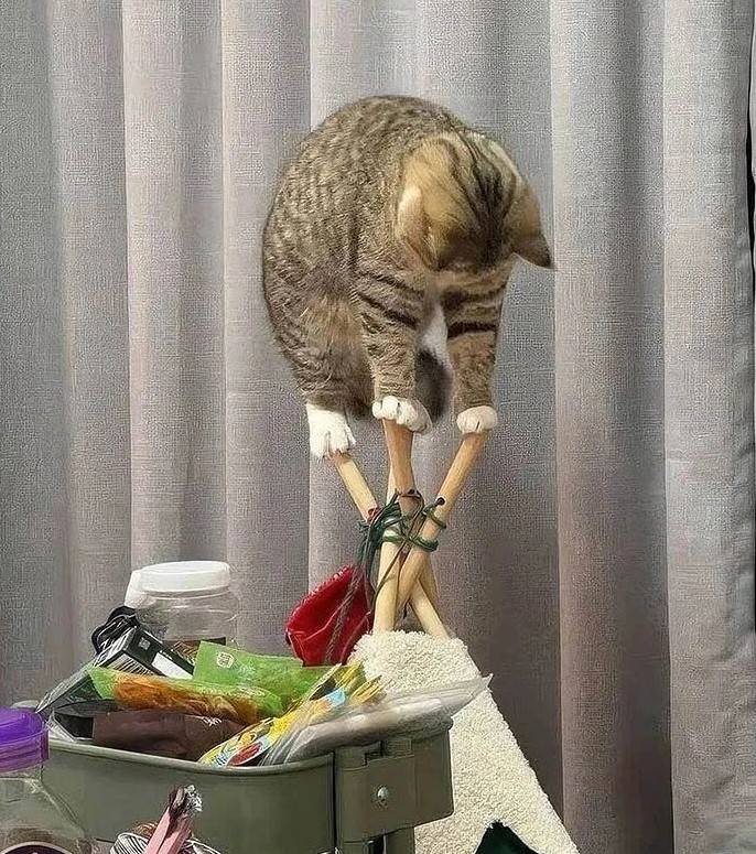 3DM����һ�̵�1614�� ��������һ�������ѱ氡��