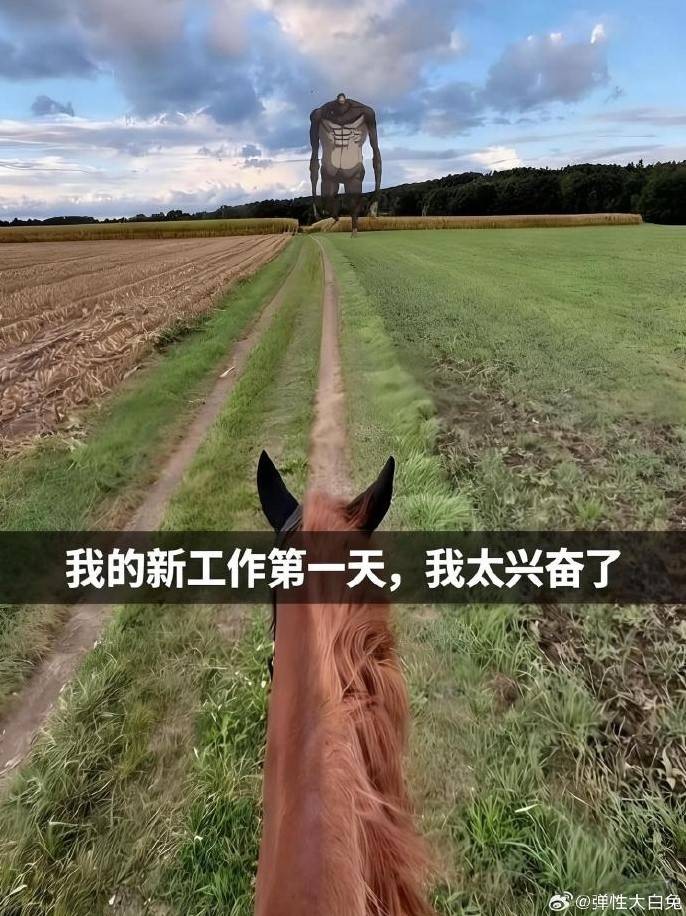 3DM����һ�̵�1614�� ��������һ�������ѱ氡��