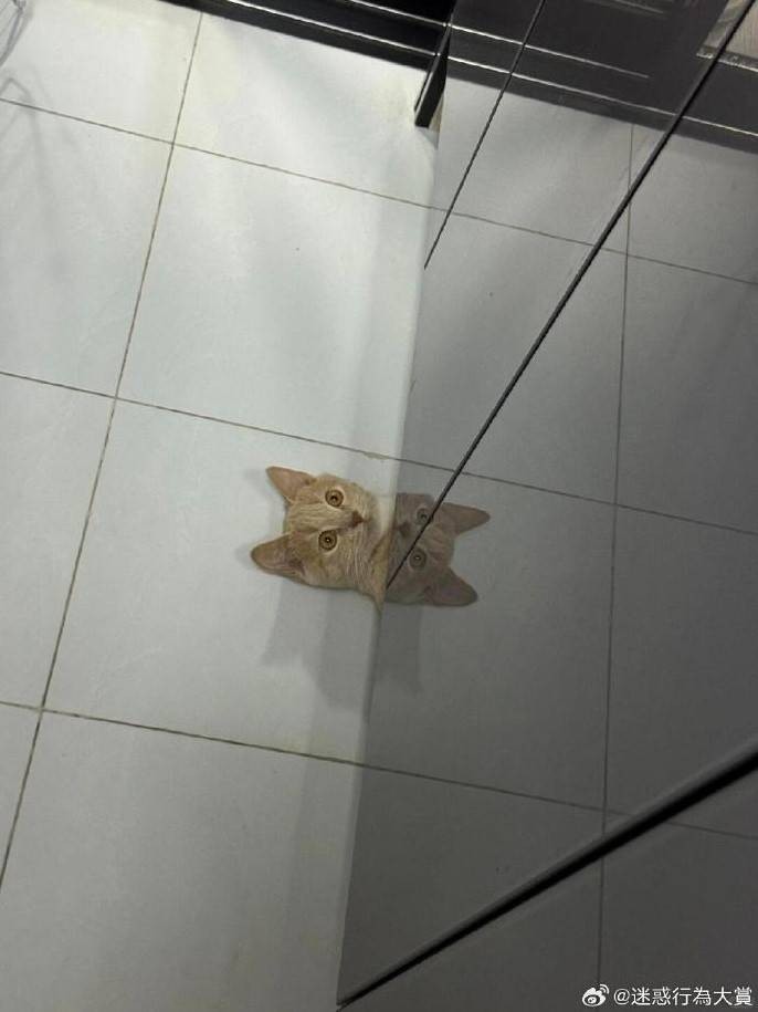 3DM����һ�̵�1615�� �������������Ƕ�ô�Ҹ���