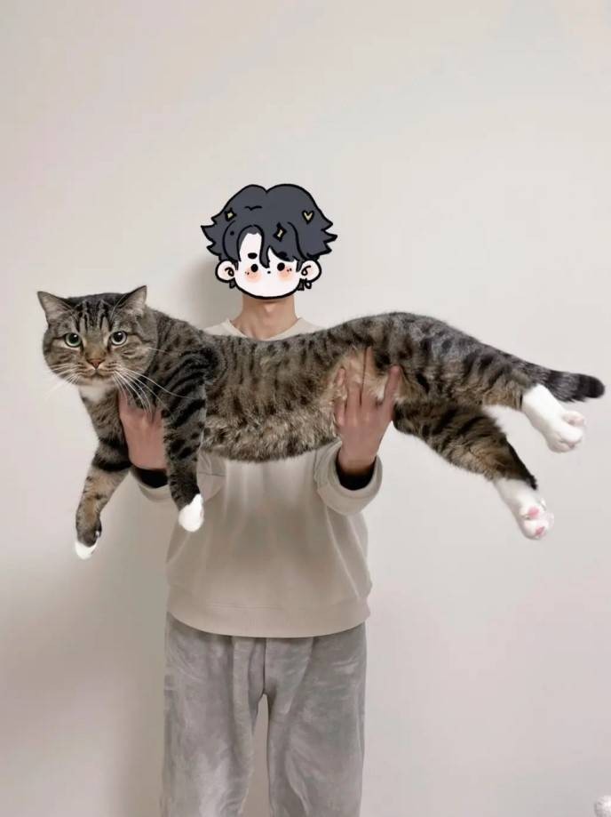 3DM����һ�̵�1615�� �������������Ƕ�ô�Ҹ���