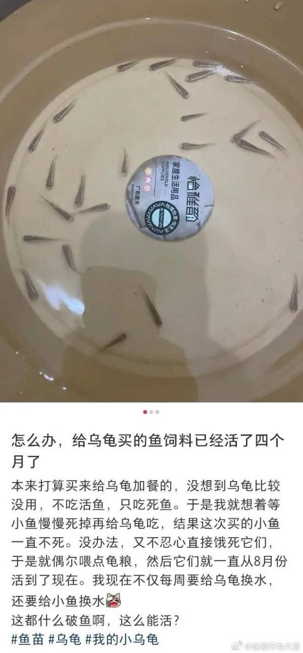 3DM����һ�̵�1615�� �������������Ƕ�ô�Ҹ���