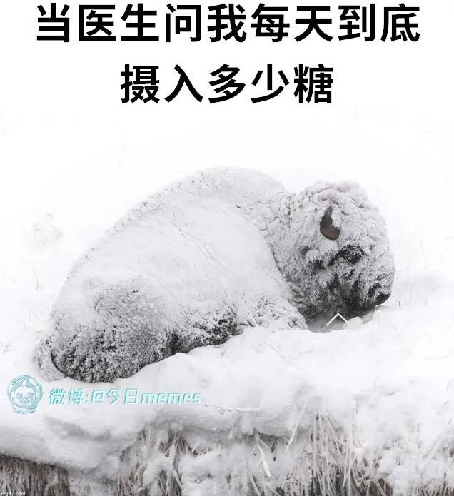 3DM����һ�̵�1616�� ��Ů��ӣ�ҳԵ�����������