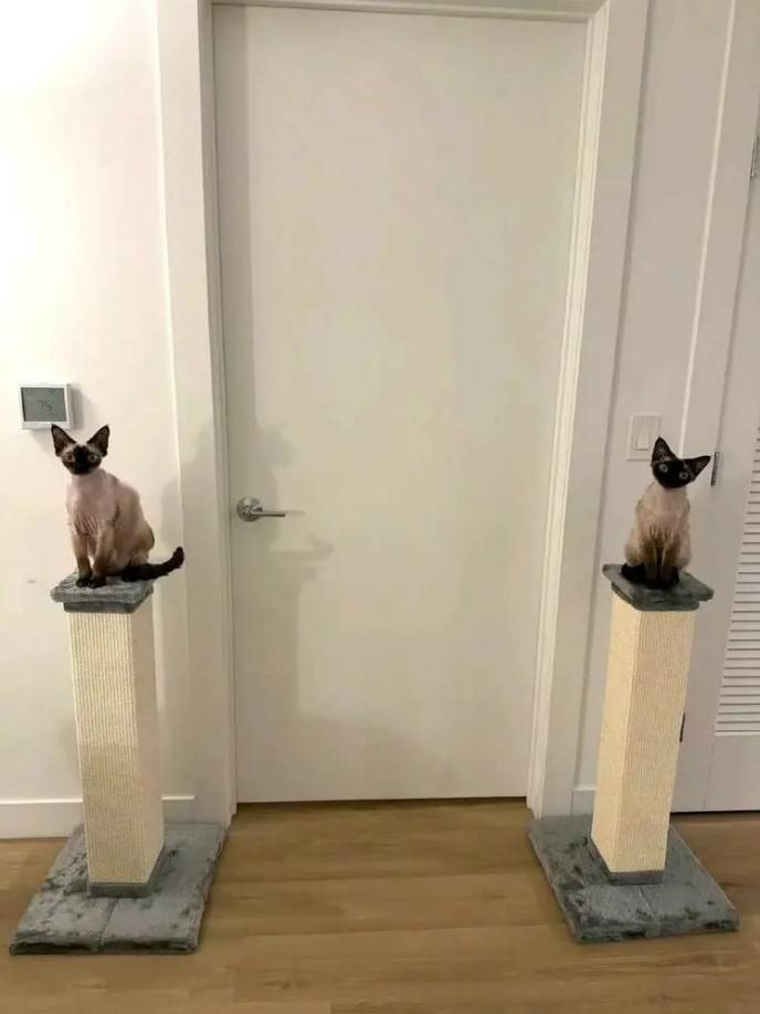 3DM����һ�̵�1616�� ��Ů��ӣ�ҳԵ�����������