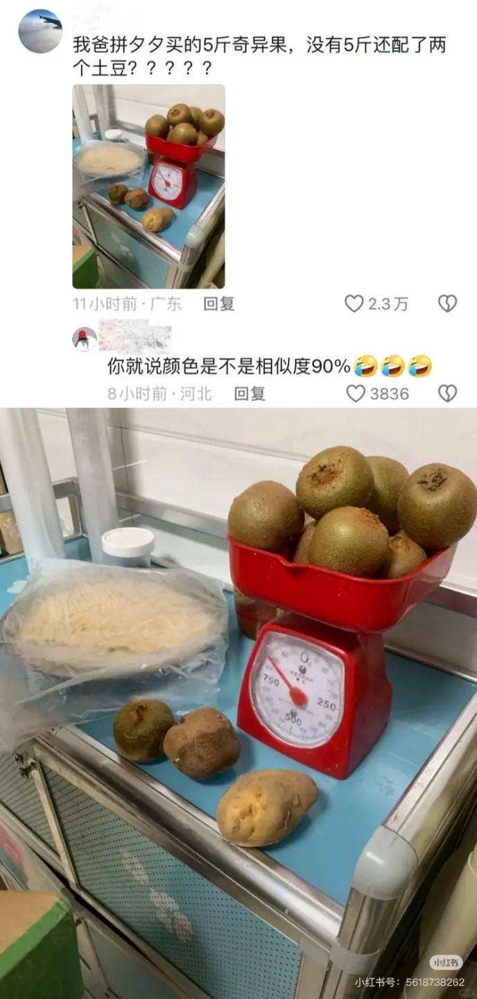 3DM����һ�̵�1616�� ��Ů��ӣ�ҳԵ�����������