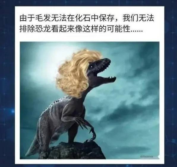 3DM����һ�̵�1616�� ��Ů��ӣ�ҳԵ�����������