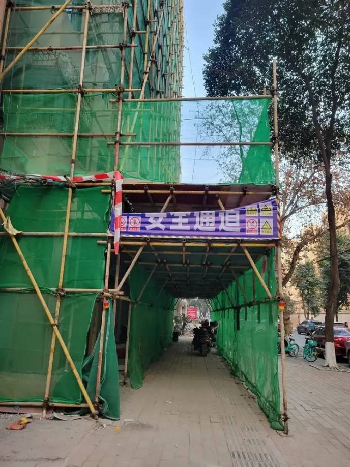 3DM����һ�̵�1616�� ��Ů��ӣ�ҳԵ�����������