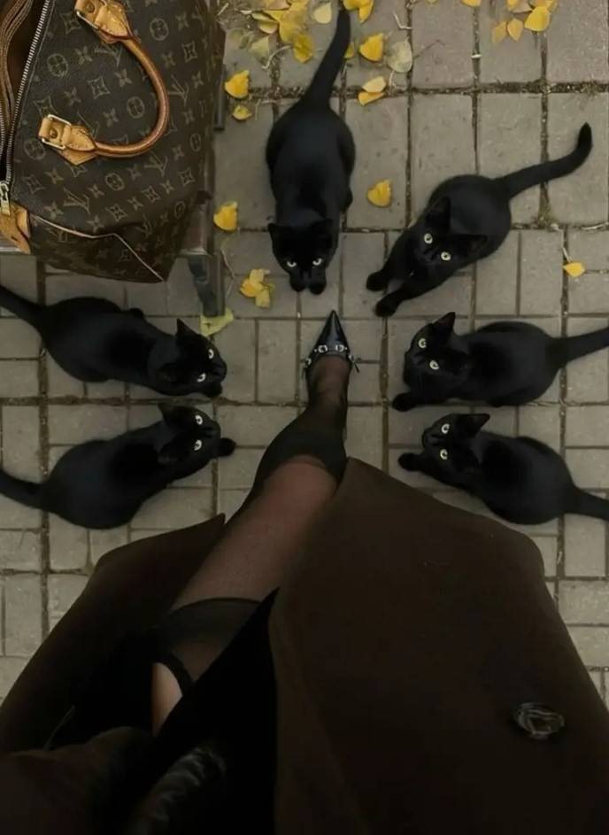 3DM����һ�̵�1616�� ��Ů��ӣ�ҳԵ�����������