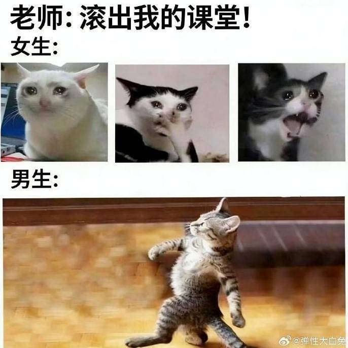 3DM輕松一刻第1617期 女生到底要多瘦你才會滿意