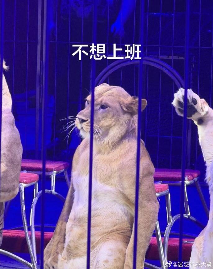 3DM����һ�̵�1617�� Ů������Ҫ������Ż�����