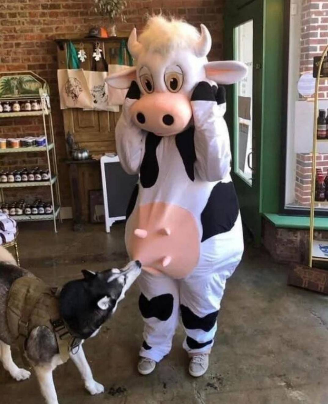 周五福利囧圖云飛系列 現(xiàn)在女大學(xué)生都這么靚麗？