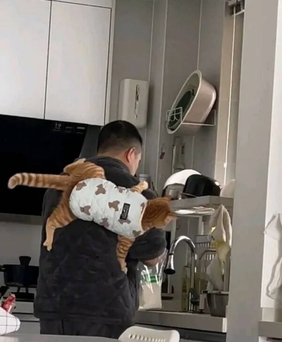 ���帣����ͼ�Ʒ�ϵ�� ����Ů��ѧ������ô������