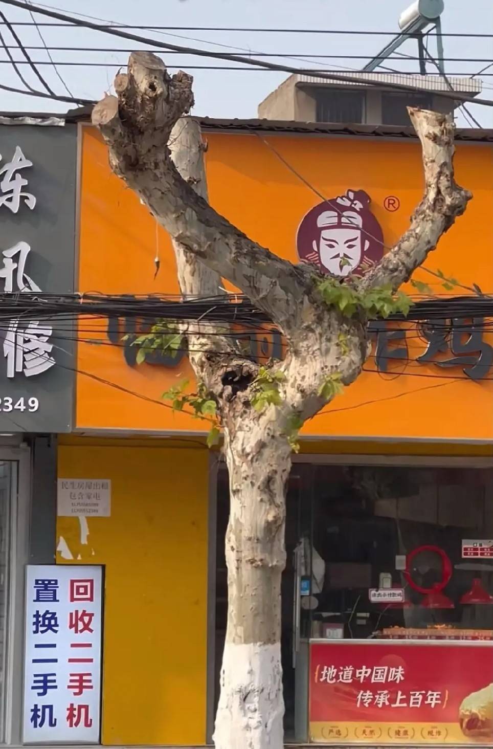 ���帣����ͼ�Ʒ�ϵ�� ����Ů��ѧ������ô������