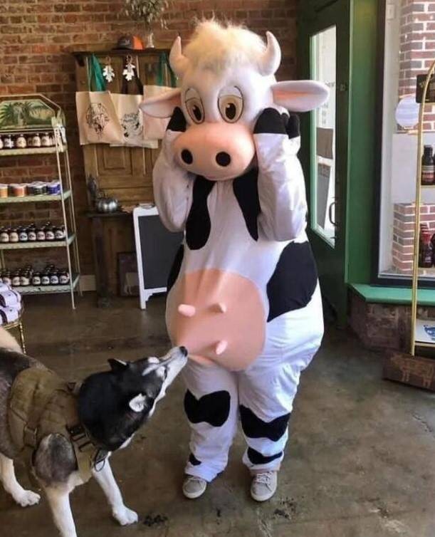 3DM����һ�̵�1618�� ������ǿ���Ա任��������