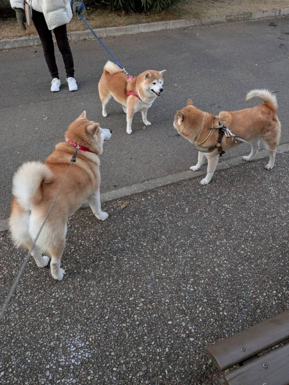 ��һ�ں���ͼ�Ʒ�ϵ�� ����Ǵ�˵�еľ�ͷ�аɣ�